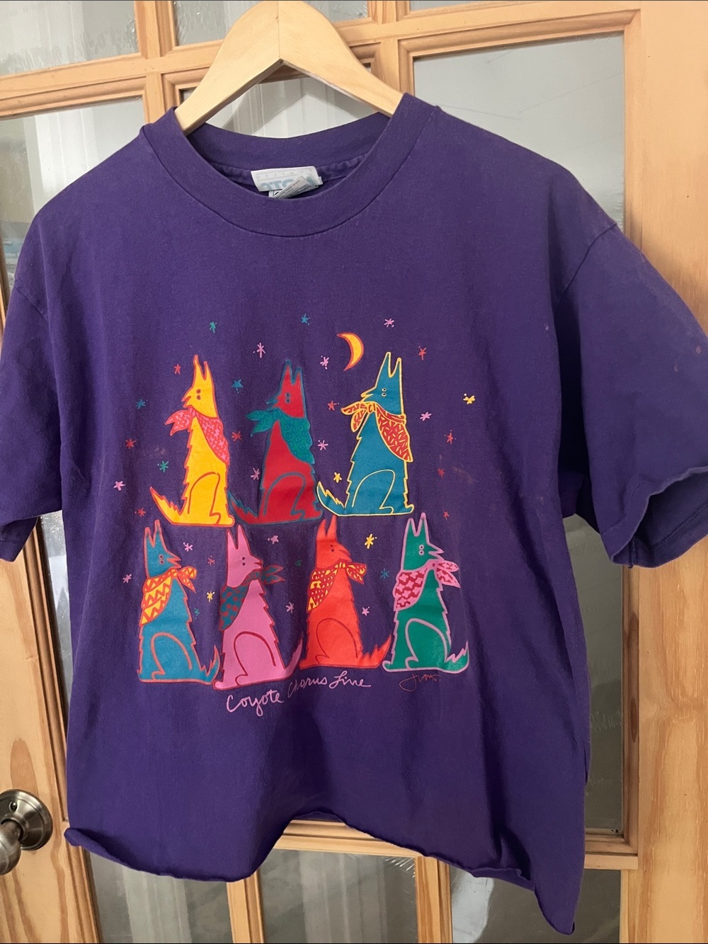 Vintage Artist Jeff Low Purple Graphic Coyote Tee sz XL